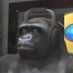 PoPo The Gorilla (@gorillamessiah) Twitter profile photo PoPo The Gorilla (@gorillamessiah) Twitter profile photo