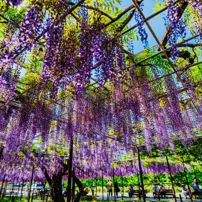 YOSHIphotos's profile picture. 「風景・花・街・人 」などお気に入りをのせます。現像はゆっくりめです。 本垢YOSHI @YOSHI41801105 https://t.co/1aEXYkUedm