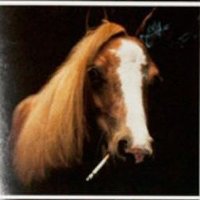 Rotten_snake (@rotten_snake_h) 's Twitter Profile