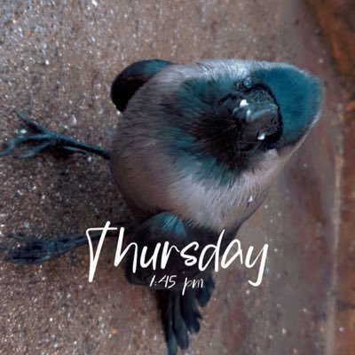 crazycrow9999's profile picture. MBBS 🩺🫀🇮🇳