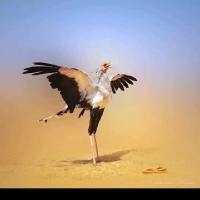 لا تاخدنى على محمل الجد دائماً لانه انا فكت منى .. فقط كن انسانا
Dm مفتوح للحوجات