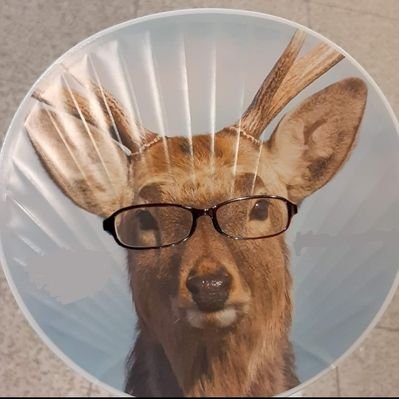 ずみん (@z___m_n3) / Posts / X