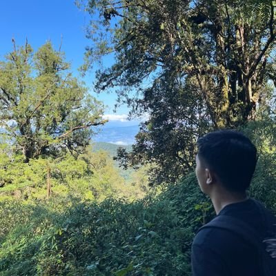 pianco21's profile image