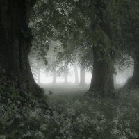 b (@byd2_) Twitter profile photo