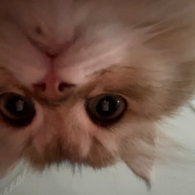 xilanhua04's profile picture. 在郑州上学 想