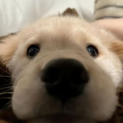 ♡TRINITYさんのプロフィール画像