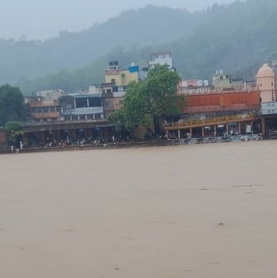 AkashTomar2166's profile picture. 