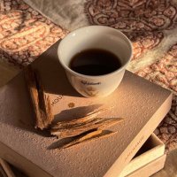 عزة الكلبانية🦌⚖️ (@thediplomatazza) 's Twitter Profile