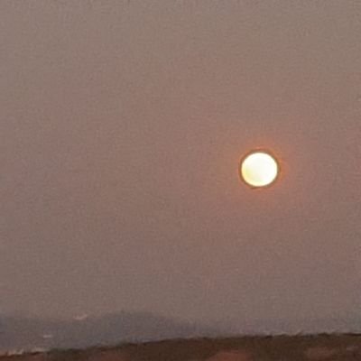 dervisaliakbaba's profile picture. Dünyadaki tüm insanlar eşit hakka sahip ve adalet herkes için eşit olmalıdır. O eşitliği M. K. Atatürk en iyi şekilde getirdi ancak hızla yoketmek isteyen var.