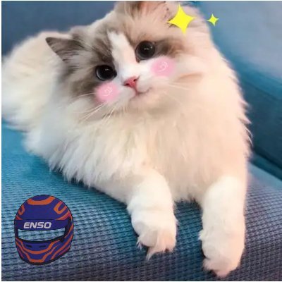 CareyDierser52's profile picture. analytics and NFTs | taking a break from degen-ing