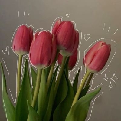 rahma1_Said's profile picture. 