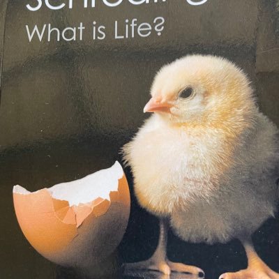 BOHR_Viena's profile picture. 