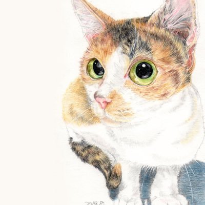 Romancan(猫灯夜譚)さんのプロフィール画像