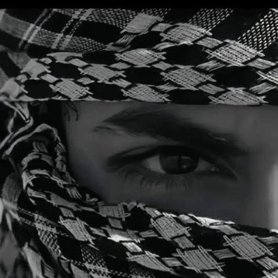 __farxim__'s profile picture. 💻 self-taught dev | 🌐 building the future in code
🎯 minimal UI • ⚡ fast logic • 🧠 constant learning
const passion = code.everyday()
📍 somewhere between HTM