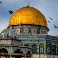 MrAsif277758's profile picture. We stand Palestine 🇵🇸🤲🏻