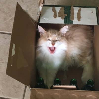 troy44163's profile picture. 