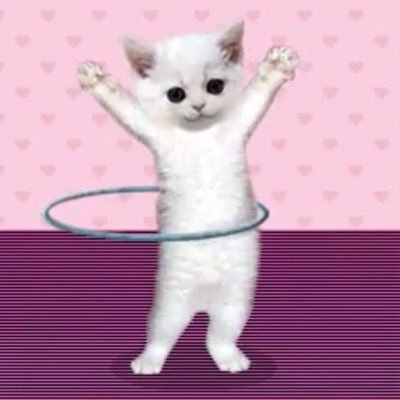 @ning_x_2