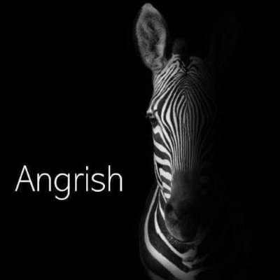 Loves music that's dark, deep, progressive, left-field and everything in-between! Newcastle United supporter.