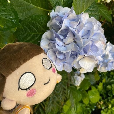 なお🔔🦊☘️@Liella!は人生さんのプロフィール画像