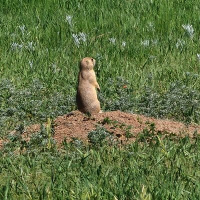 hartford_vickie's profile picture. 