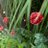 Rita_Zutphen's profile image