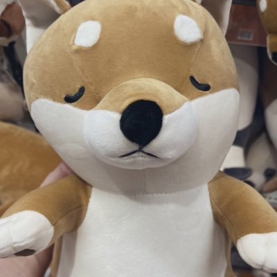 senapi_2525's profile picture. ポケモンやムンボ、ラブボお求めの方はDM来てください！！通知OFFなので交換可能な時間言って貰えるとその時間に開けるように合わせます🙇‍♀️