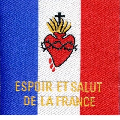 Militant en chef sur les circos 1 à 3 de Loire-Atlantique pour Reconquête!, le parti de la reconquête de la France avec Éric Zemmour et Sarah Knafo.
