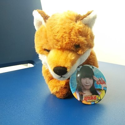 itotinbokujou's profile picture. ここは、2022年7月のふるぽん新メンバーAD予選からそるとちゃん🍀🥺🍋＆あねそる💚🧸応援専用垢(２代目)です😊
オレは説教オタクが大嫌い！🦆
単なる趣味で無責任なオタクのくせに組織の要求やファンの要求に応えるため責任感を持って頑張っている職業アイドルに対し難癖つけて説教してるような奴が心底嫌いです💢