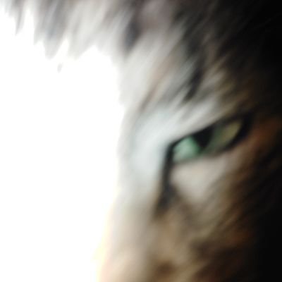 joakoncoako's profile picture. 