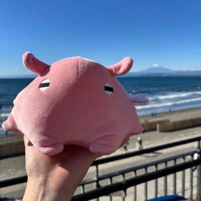 memenoshiawase's profile picture. 趣味垢 💚☺️🐅🌽🌲🌸😈🐏👾🍎♌️🥀🍃🐚🐧⚡️🎧🔧💀☔️🐔🔮📜🐙🐾🎲🎼