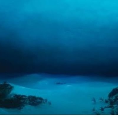 selametafiyette's profile picture. 