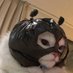 XSB (@btc_gtpopx) Twitter profile photo XSB (@btc_gtpopx) Twitter profile photo