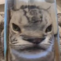 barutauini (@c4ddtt) 's Twitter Profile