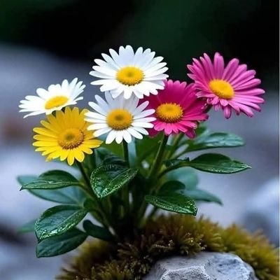 MartinezCa62131's profile picture. i am a european woman