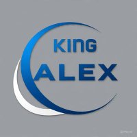 King Alex💙💙🦅🦅🇳🇬🇱🇷 (@kingalex7711) 's Twitter Profile