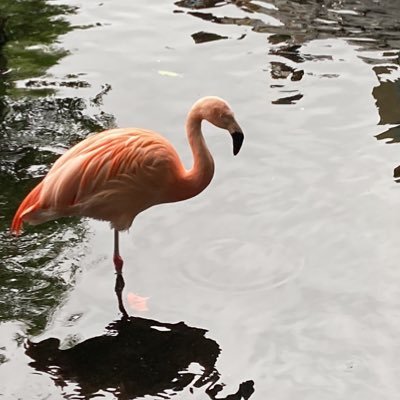 よさんのプロフィール画像