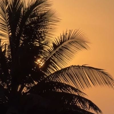 RCitizen37768's profile picture. Logic over Noise  Not a fan of pink poltics or fairy tales! Just Telangana - Unfiltered, Raw & Real