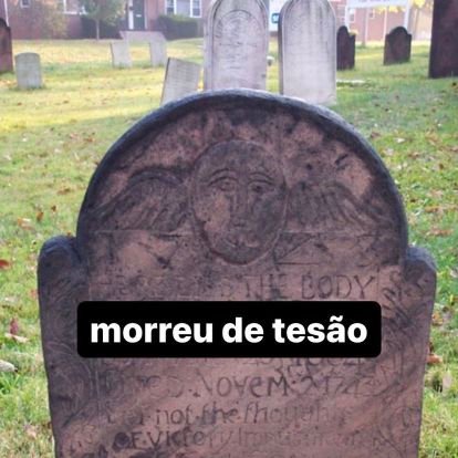 ursobxdrj's profile picture. baixada, rio, mundo