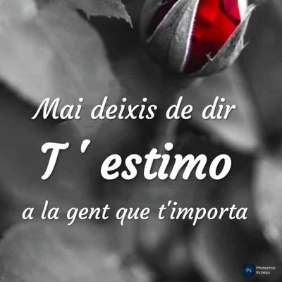 eresmivida56725's profile picture. 