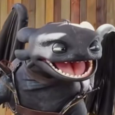 |24 male | weird is good| certified Godzilla enjoyer | artist | How to train your dragon mega fan| Dino nerd