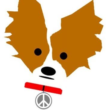 JakeLang1060's profile picture. Papillon owner & peace-advocate