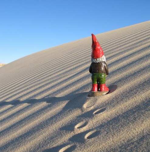 RocktwnTrackdwn's profile picture. 