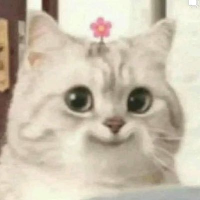 Wiinthra's profile picture. 