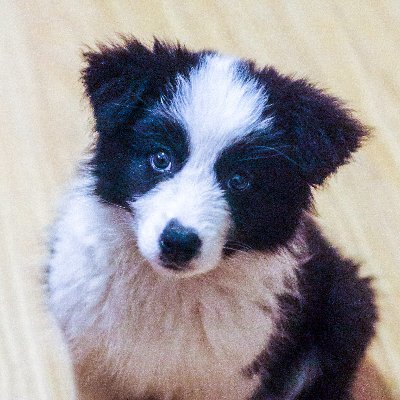 Cheann_K's profile picture. TPI For Oil & Gas / Pressure Vessels / Mining / Cement / Electricity / New Energy / Steel Structure