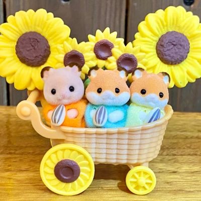 シルバニア専用アカウント🍓97〜06年まで遊んでいました。 2021年に再燃🐰💗🐹無言フォロー失礼します。基本ここ→@rima_kinkino 🕊3年半で1128体と56棟と14台。ネズミ系が特に大好きです！🐹