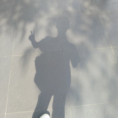shlyvsqz's profile picture. 
