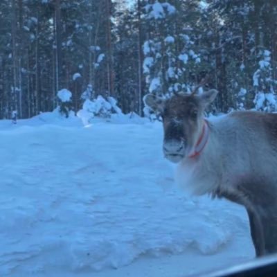 ifwmyglokk's profile picture. 