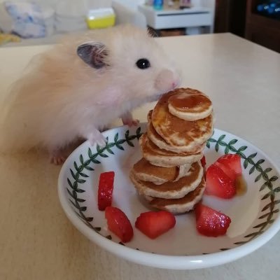 LavaLamp778's profile picture. 