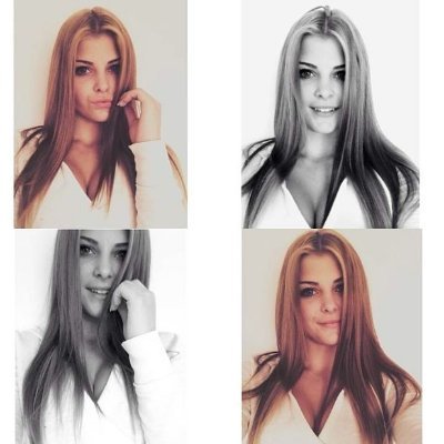 LuReilly11791's profile picture. 