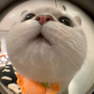 long_rebecb's profile picture. https://t.co/bVn2FpfT8w